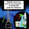 Load image into Gallery viewer, RyzeUp Air Freshener.